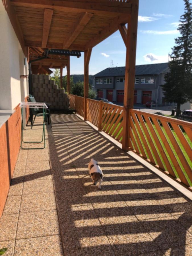 Apartmany Eva Frymburk Bagian luar foto