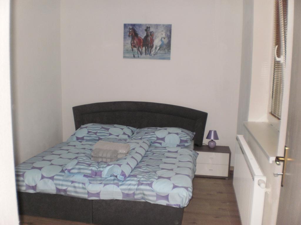 Apartmany Eva Frymburk Bagian luar foto